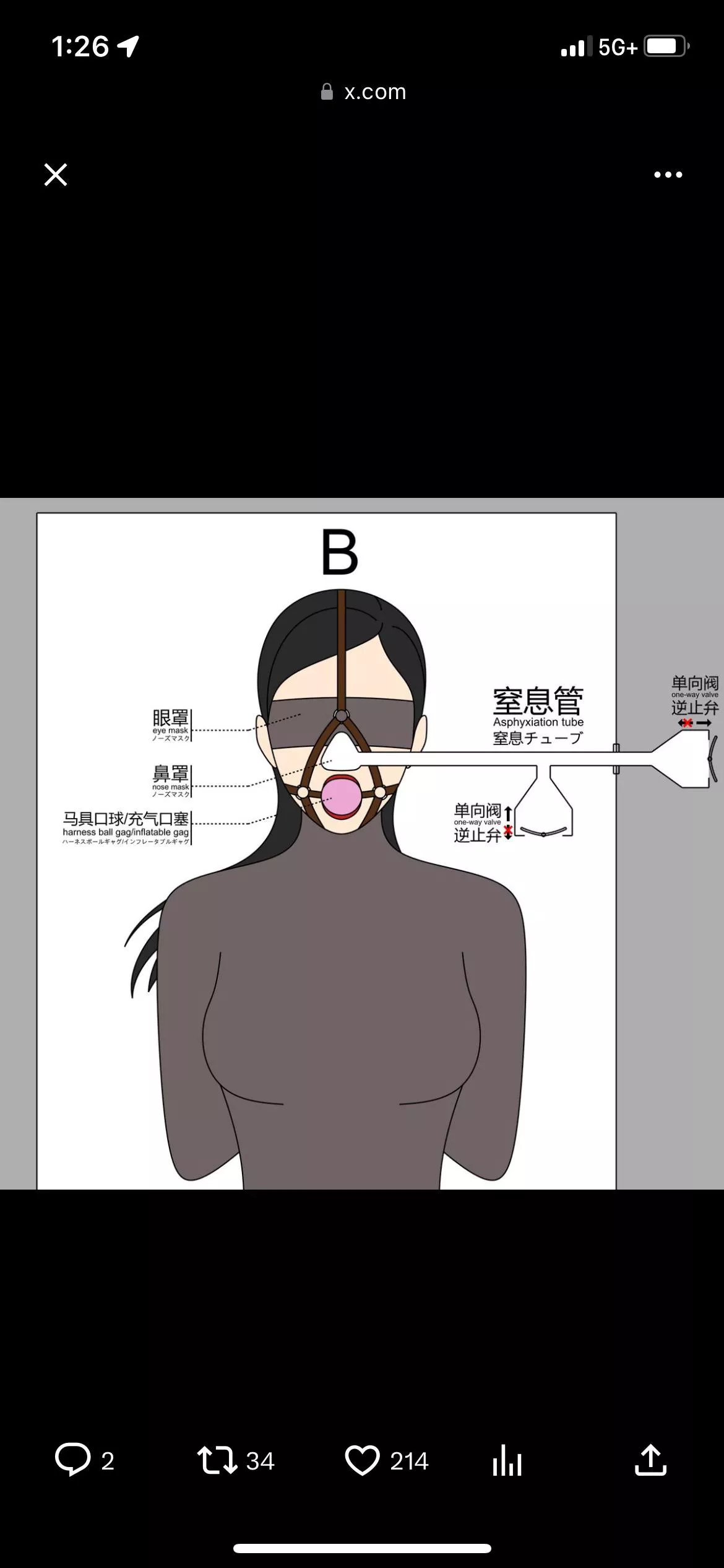 Would anyone know a possible way to make one of these DIY for a vacbed/vacbag?