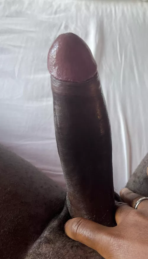 Would you like to taste this mushroom 🍄 