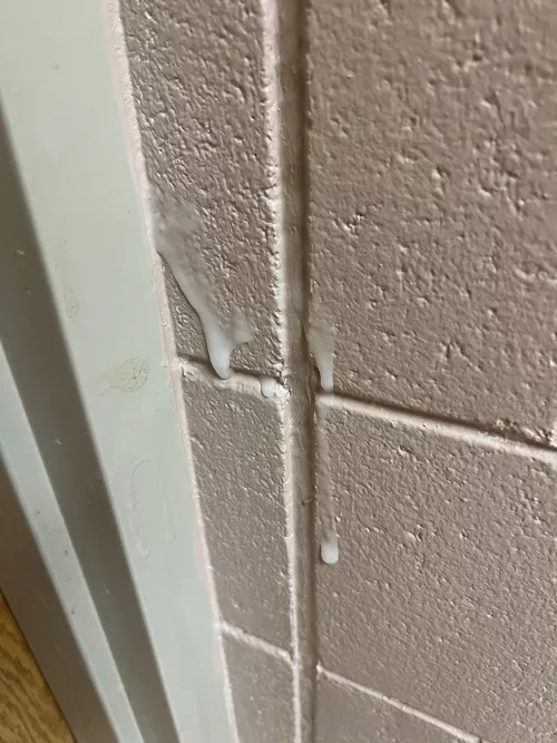 (18) tagged the school restroom