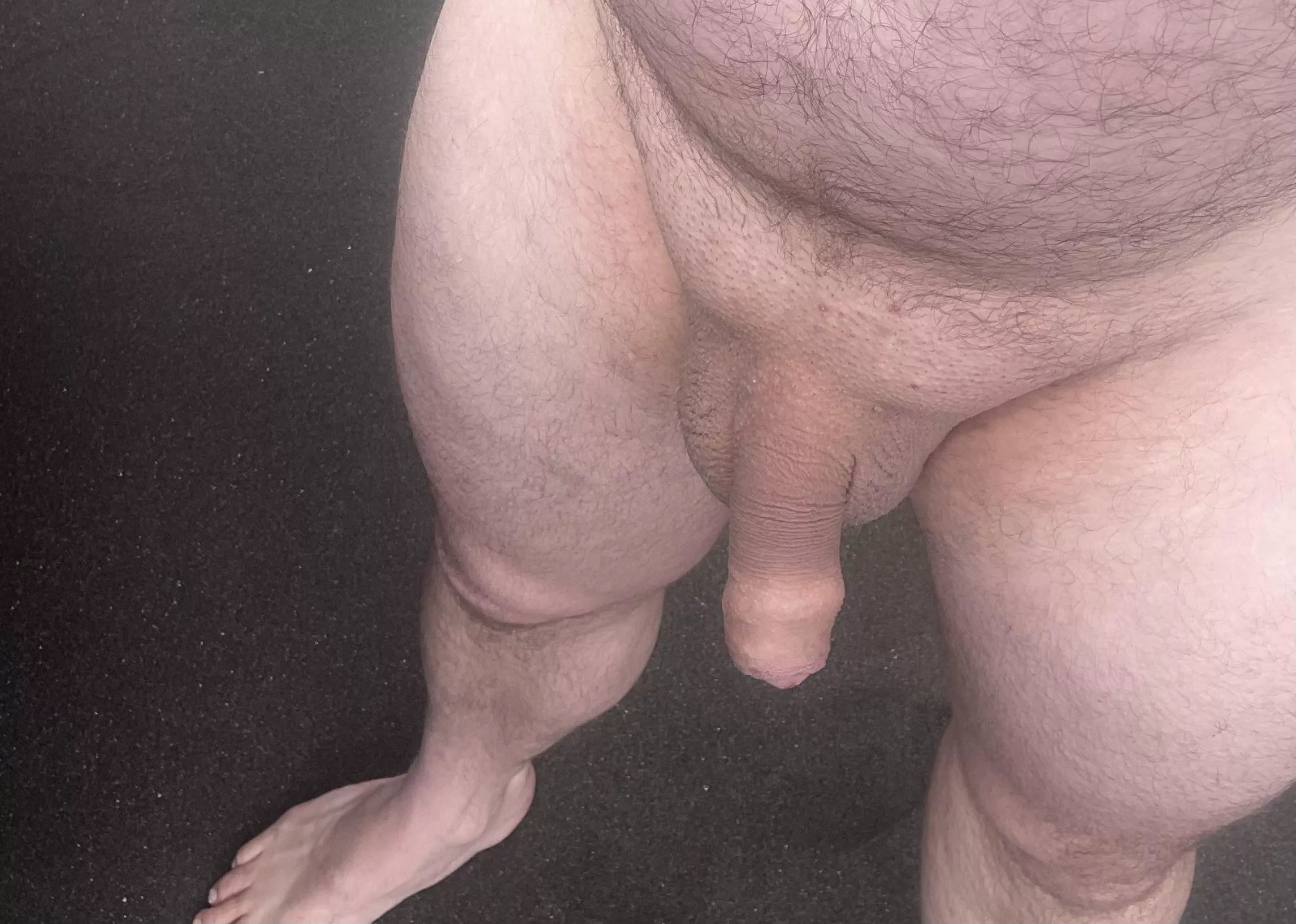 40s In Auckland this weekend 