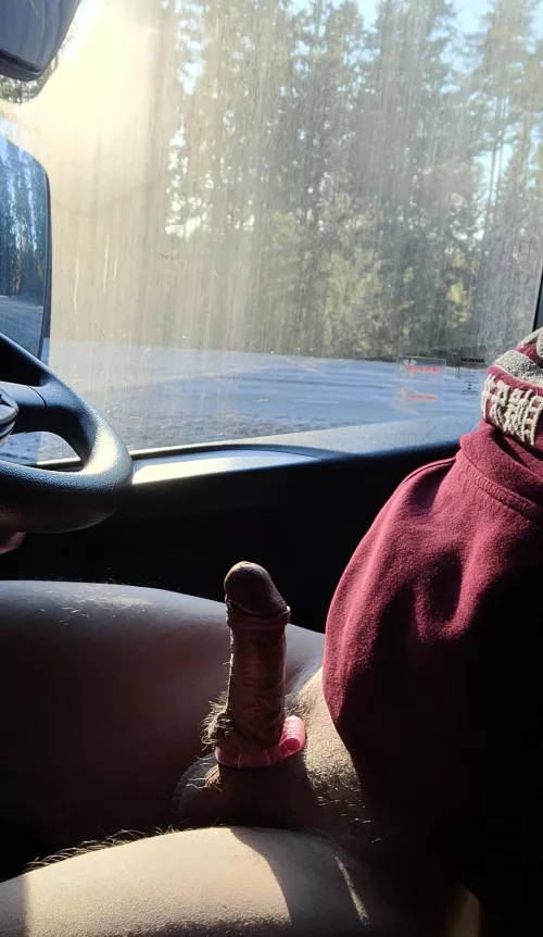 (60) old weener got hard in the truck