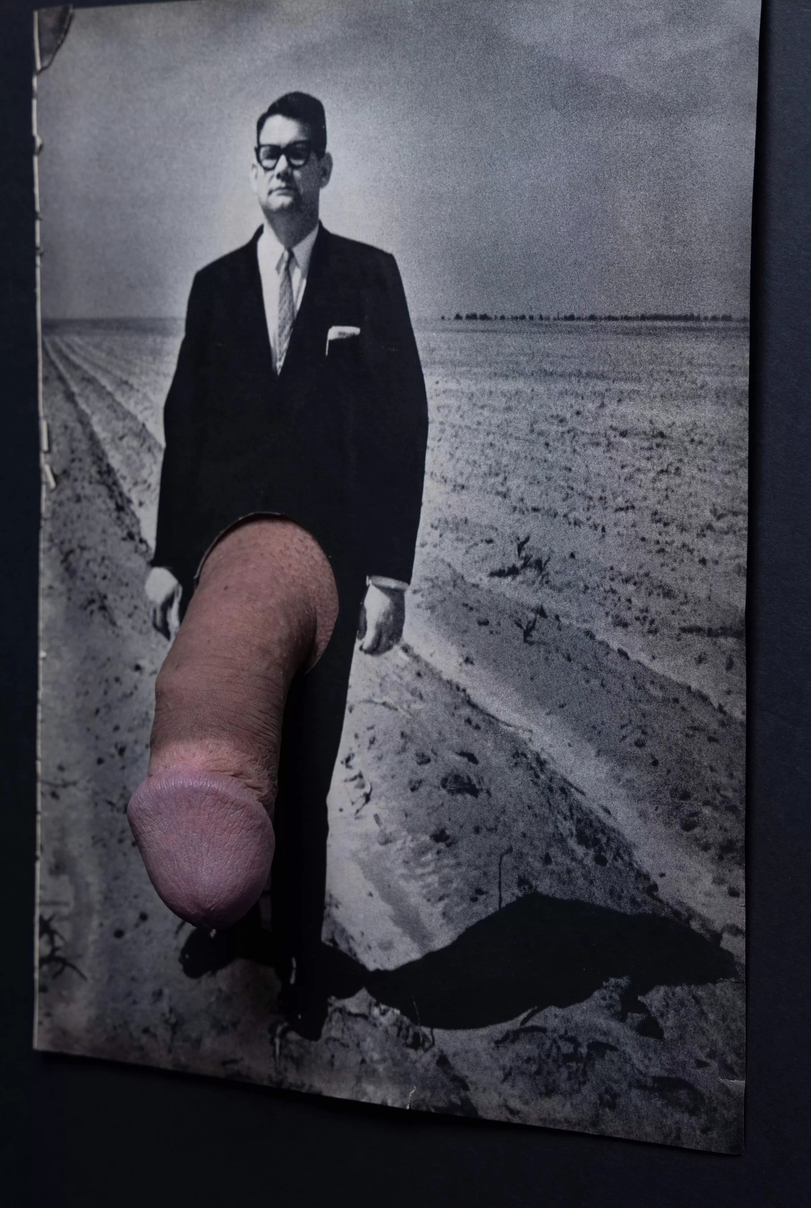 A Dignified Man (Analog penis collage)