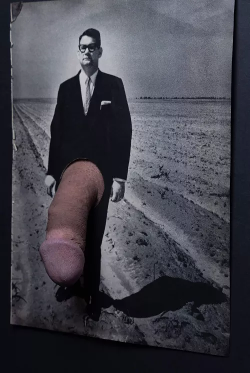 A Dignified Man (Analog penis collage)