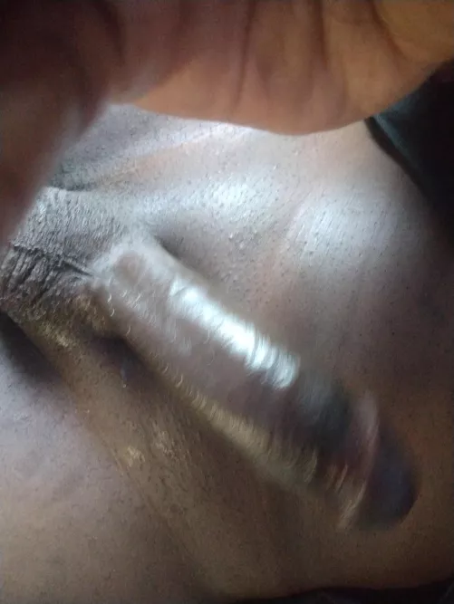 Bbc need big booty ladies 