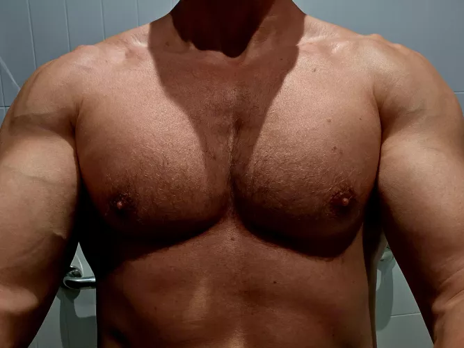 Catalyst Elmwood Selfie 