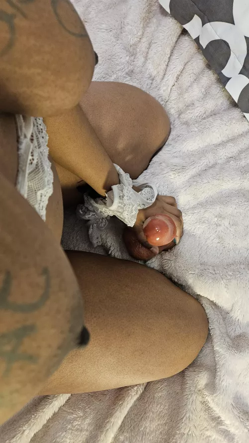 Chocolate Cow Needing to be bred 