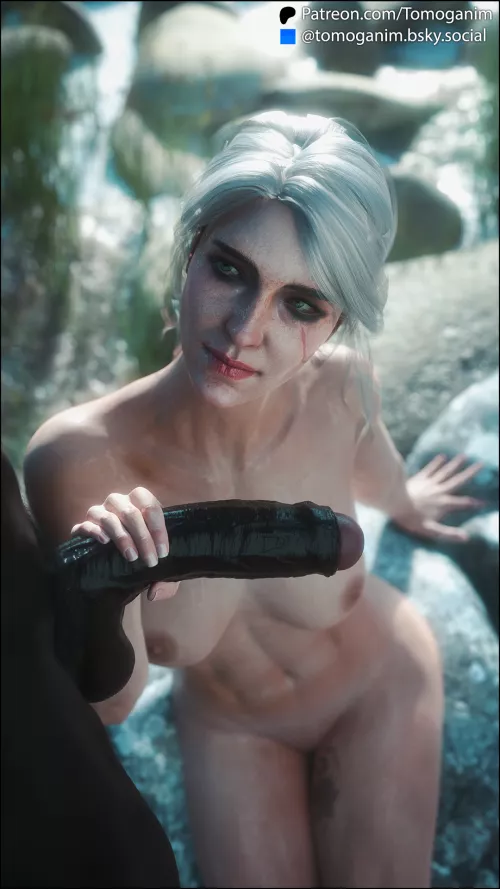 Ciri (Tomoganim)