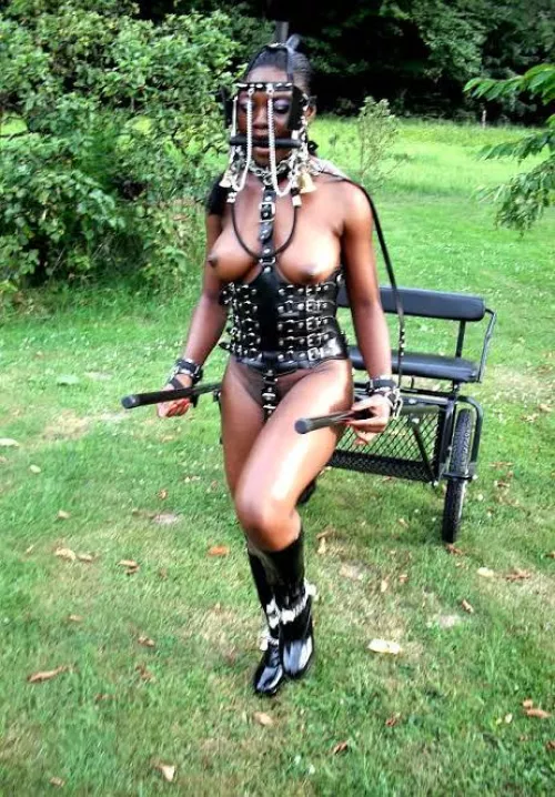Ebony ponygirl