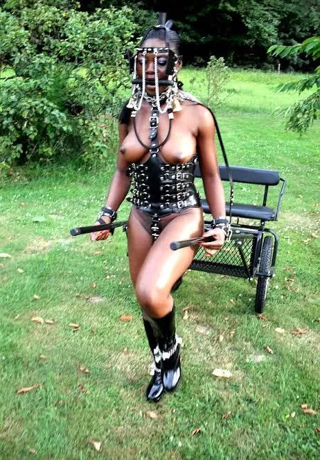 Ebony ponygirl