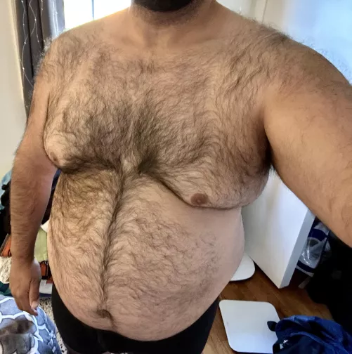 First post here….thoughts?