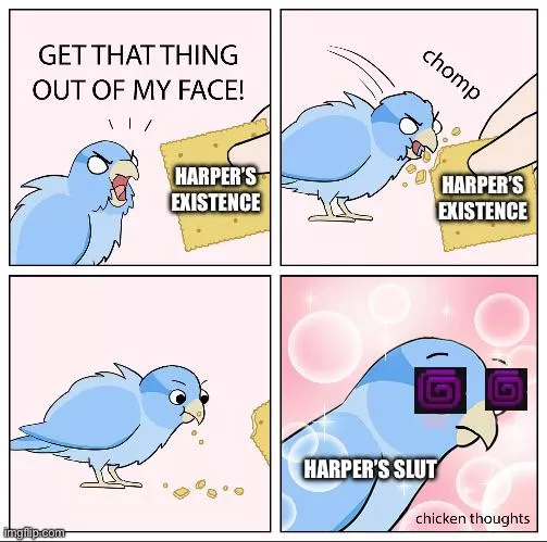 From a Harper Hater to a Harper Fucker