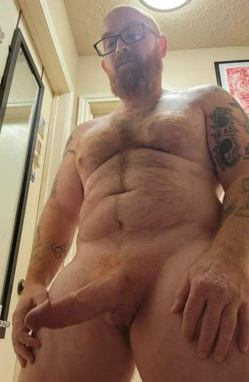 Ginger Daddy [44]