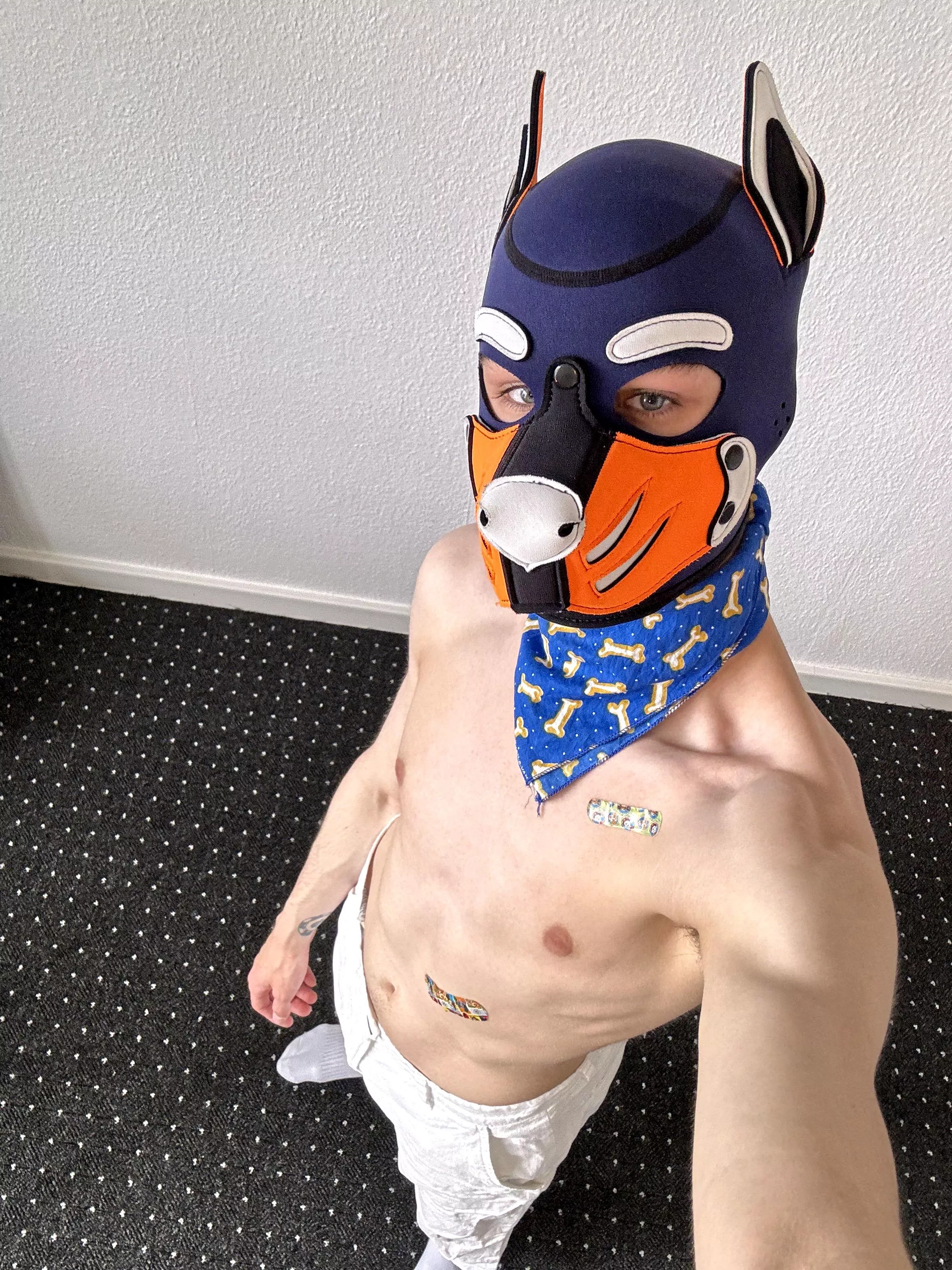 good boy or bad boy?