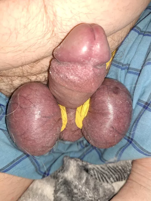 Got my panties in a bunch