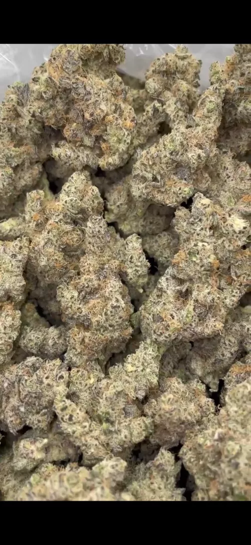 Government oasis, nice foxtails!