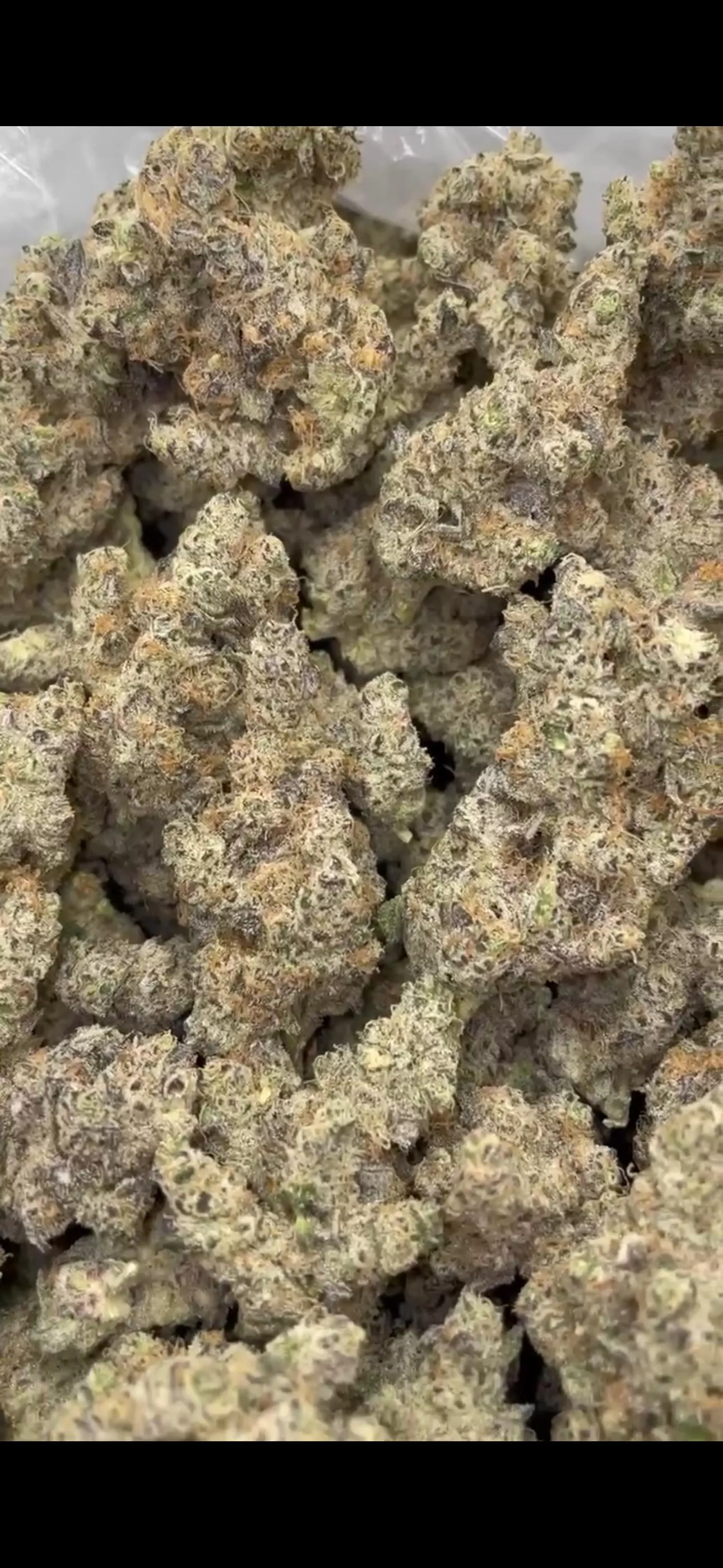 Government oasis, nice foxtails!