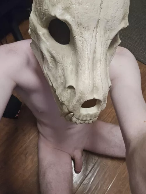 Hi im rider new to this so hopefully y'all enjoy the content 