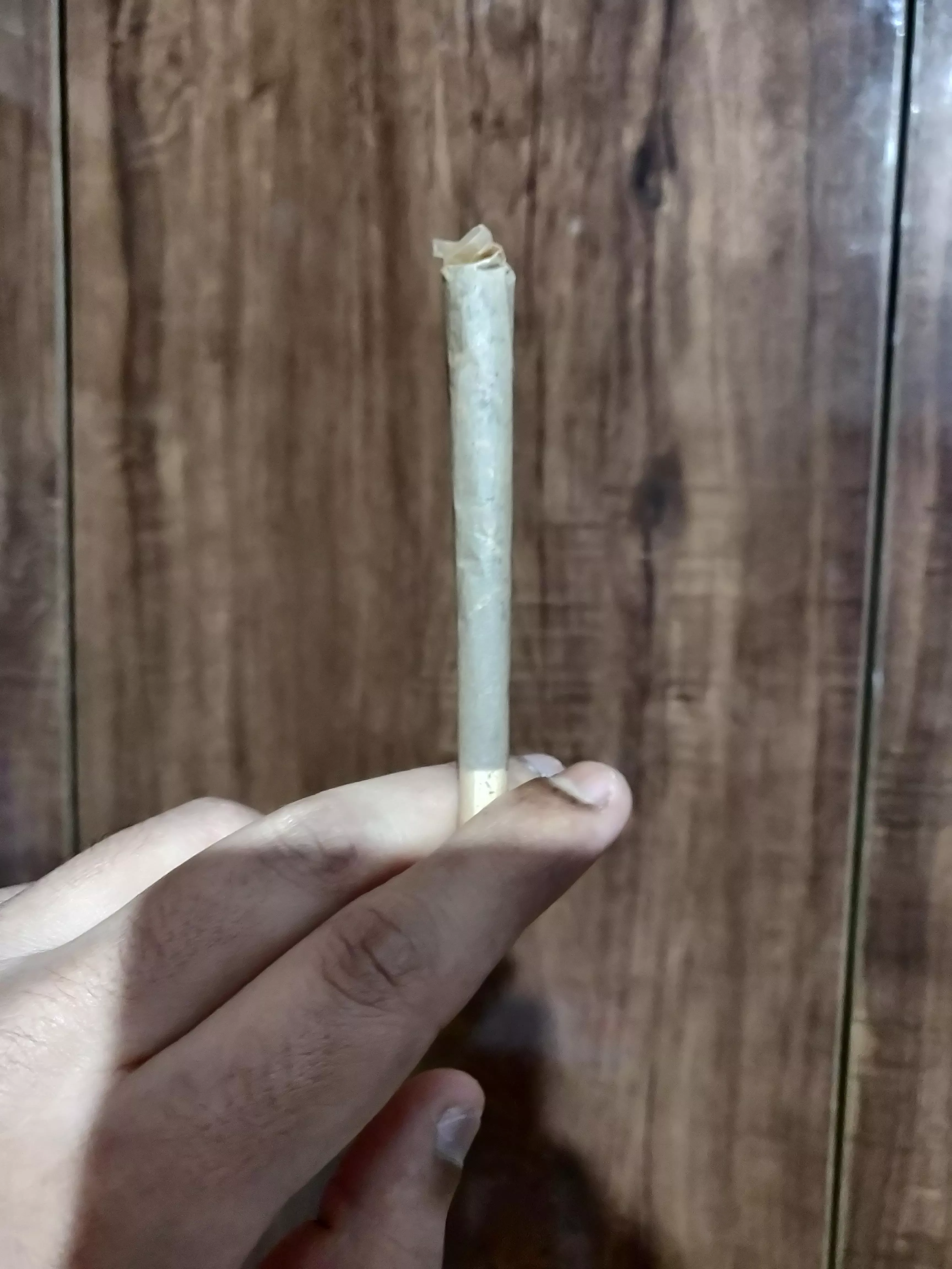 High and horny. Interested (f)emales hmu for a smoke and fun sesh.