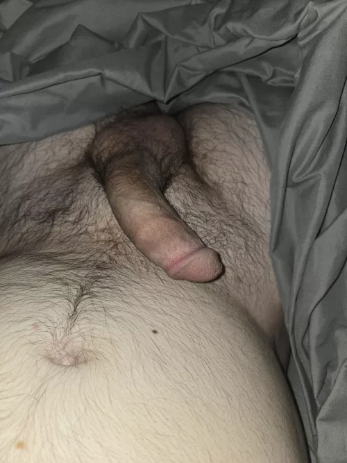 Hosting in Auburn 37 (m)