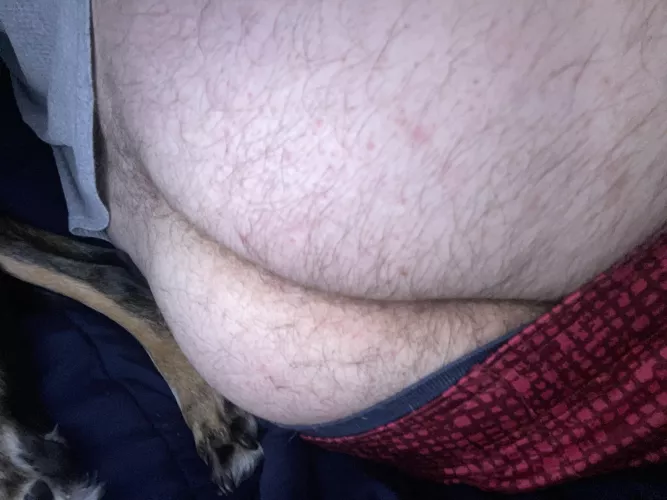 Hot ass first bear/dom in Parkersburg