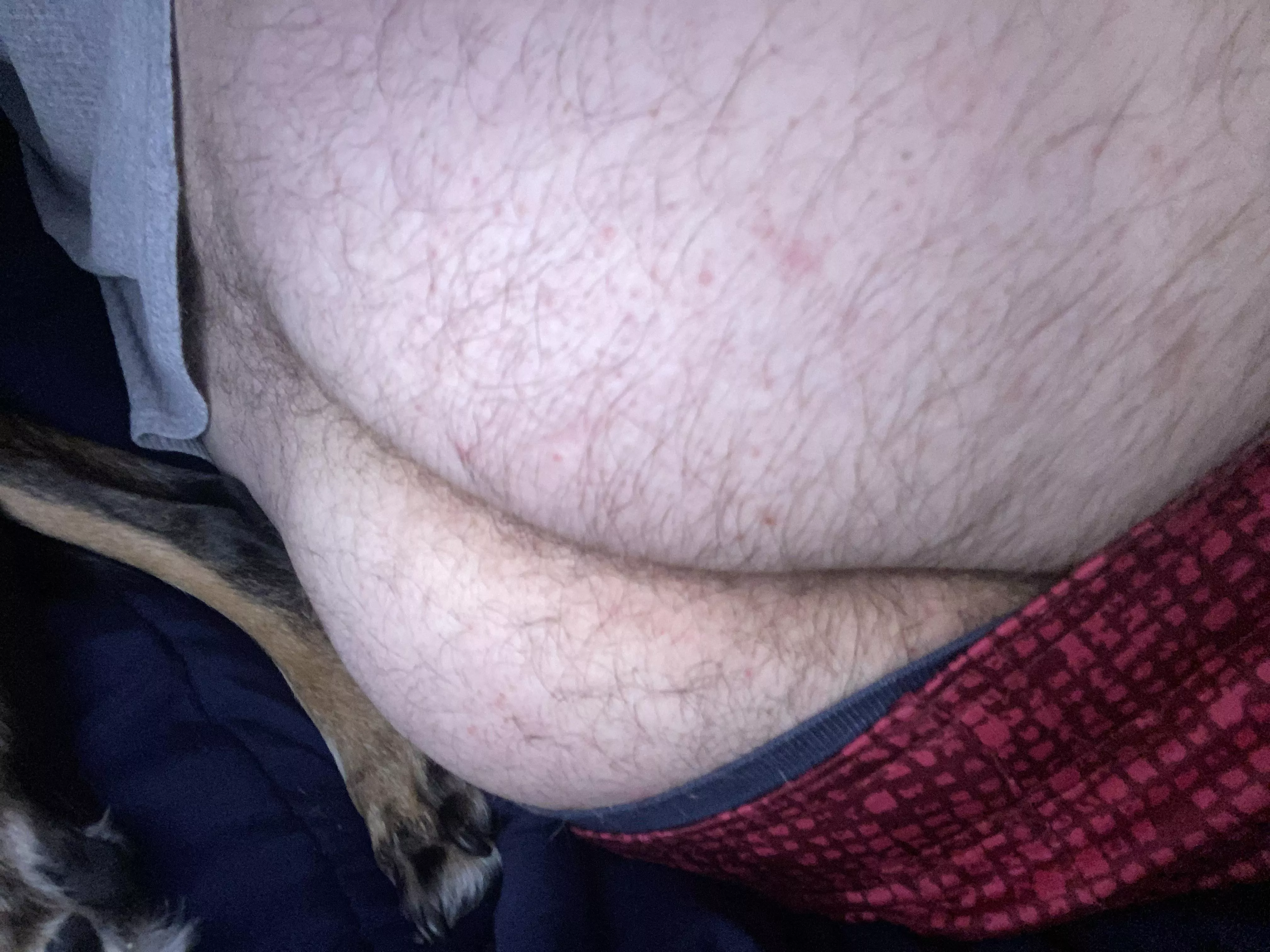 Hot ass first bear/dom in Parkersburg