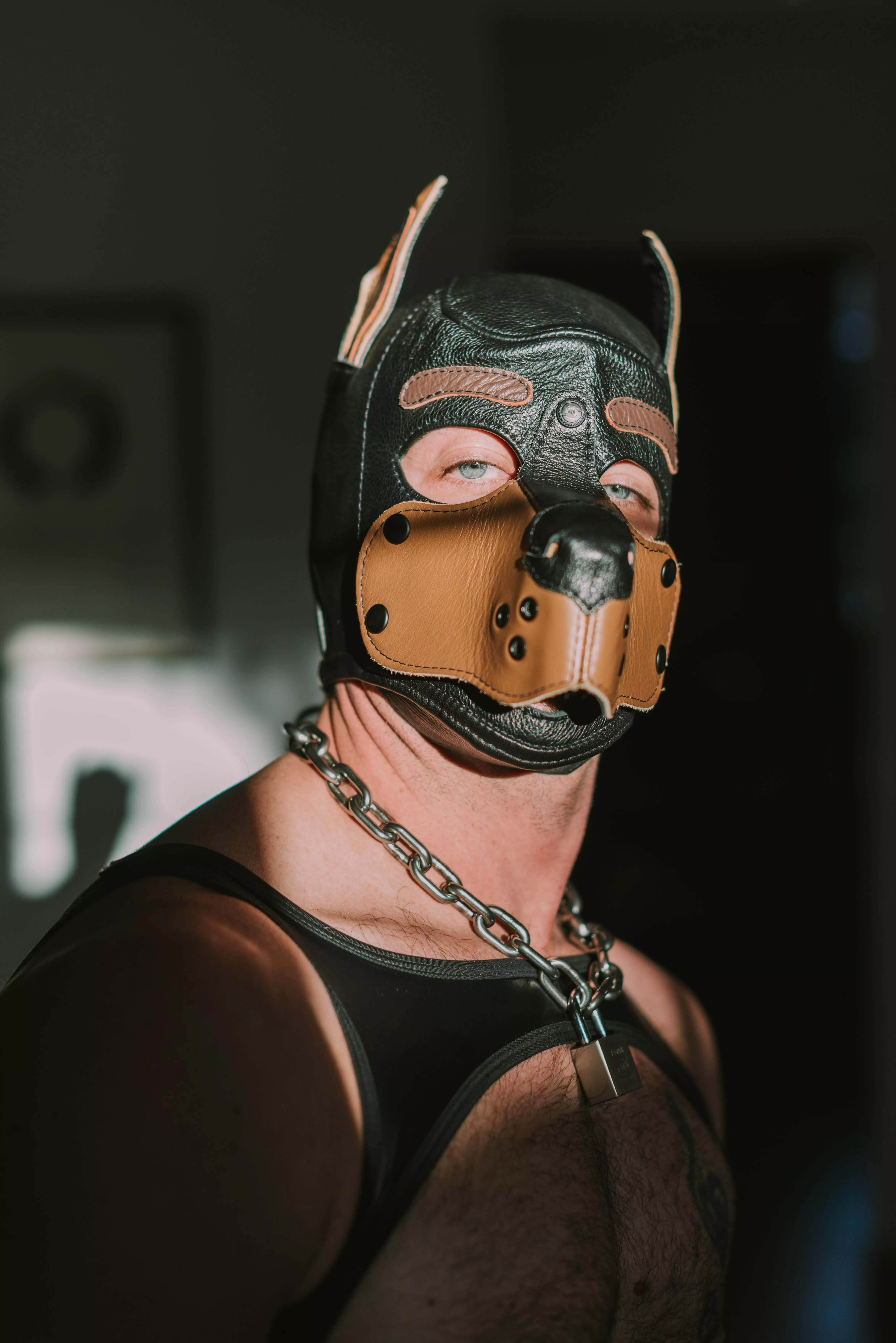 I love getting hired to shoot pictures of hot Pups