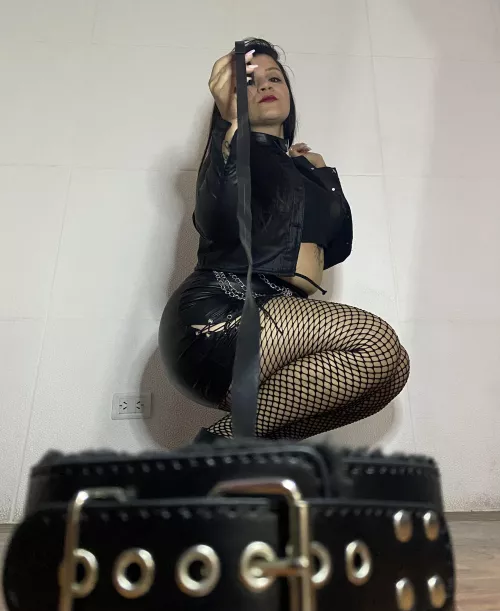 I'm looking for a new pet that is good and wants to empty its bank account with me