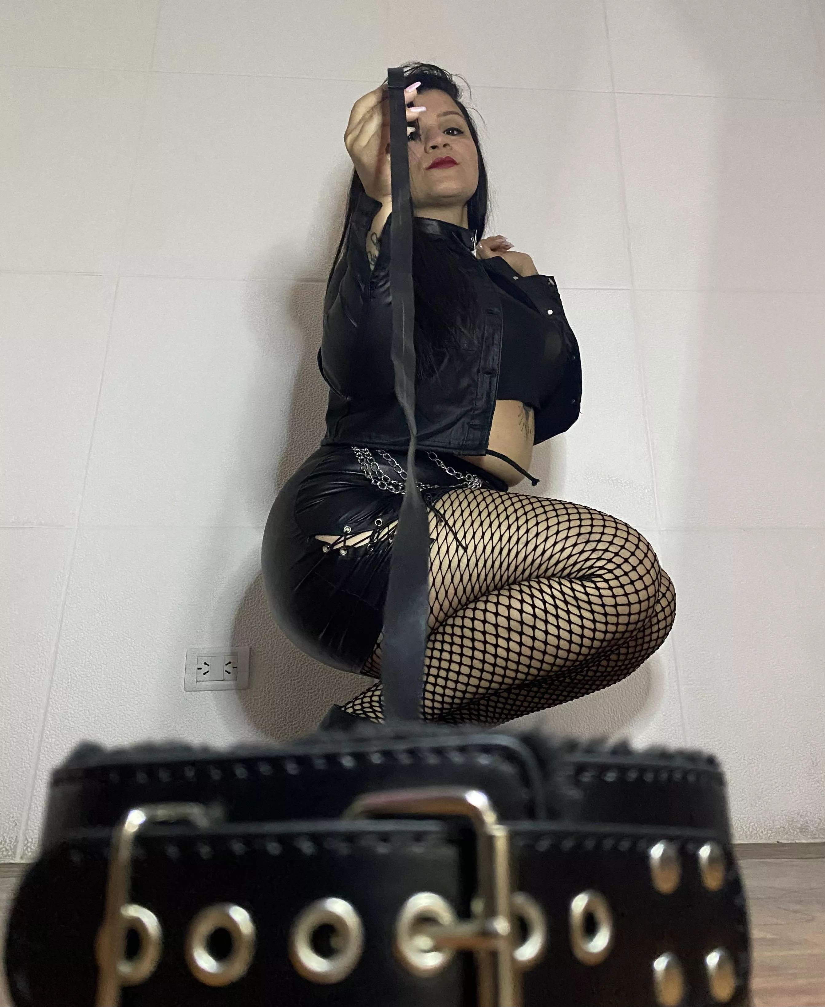 I'm looking for a new pet that is good and wants to empty its bank account with me I'm looking for a new pet that is good and wants to empty its bank account with me