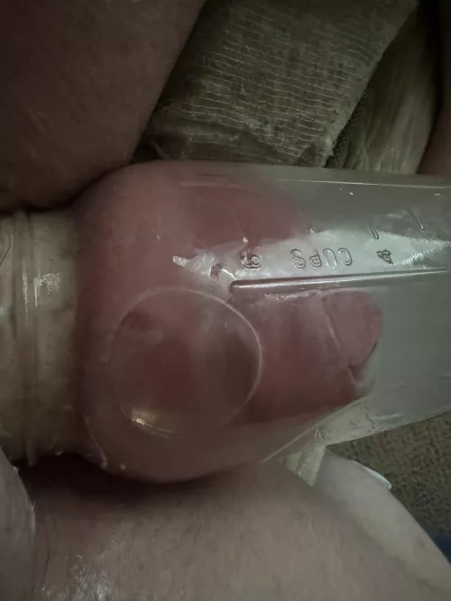 Light pump before my day begins 