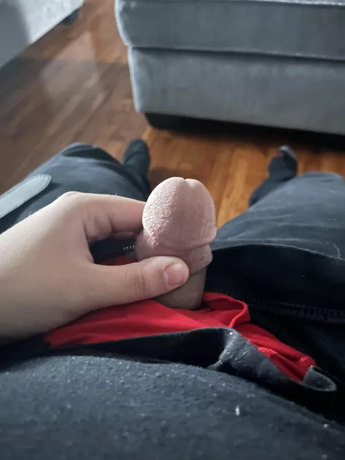 Little guy just wanted to say hello before work 