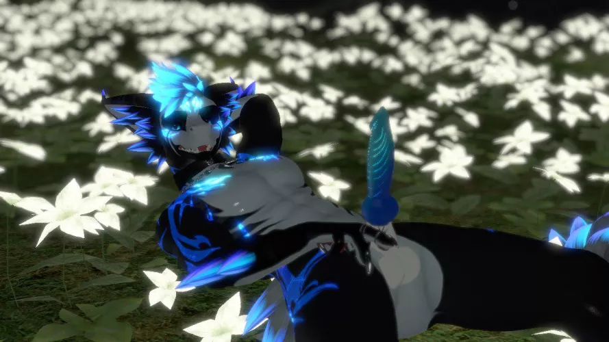 Looking for a fuck buddy or a pet to be mine (PCVR required FBT would be amazing)