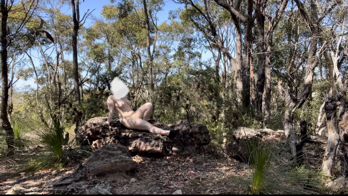 Love finding a quiet bushwalk…