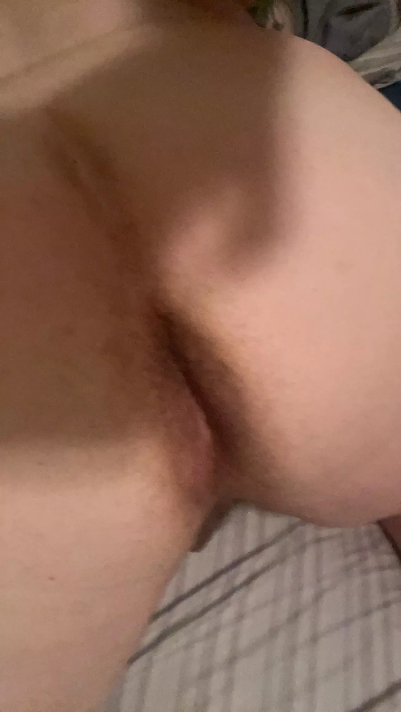 [M] Any Fit Hairy Tops Around?