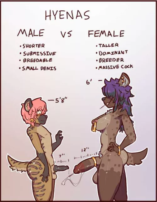 Male Vs Female [IM] (Arikadrawslewds)