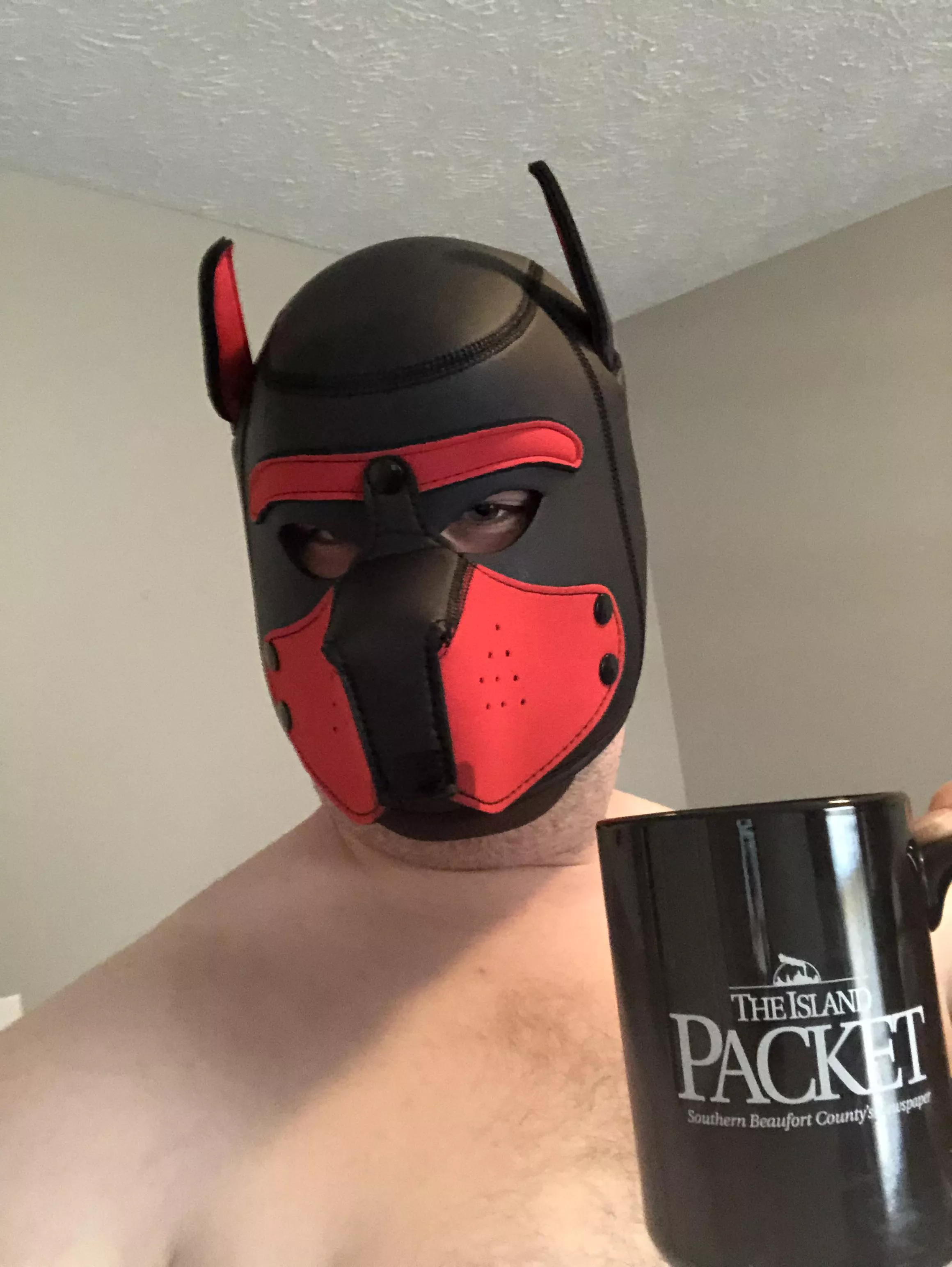 Morning pups! It’s kind of hard to lap something this hot out of a bowl, so I guess I’ll pretend I’m people.