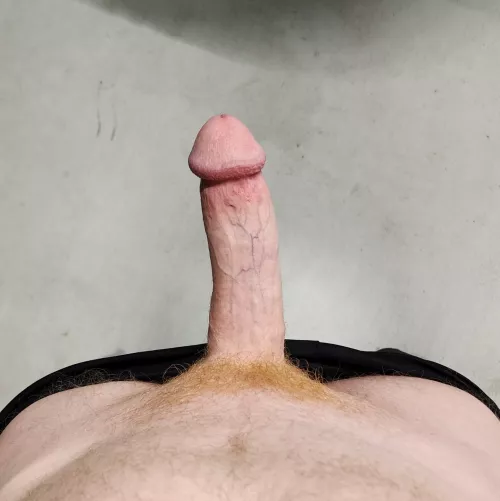 My 35 year old cut cock 😊