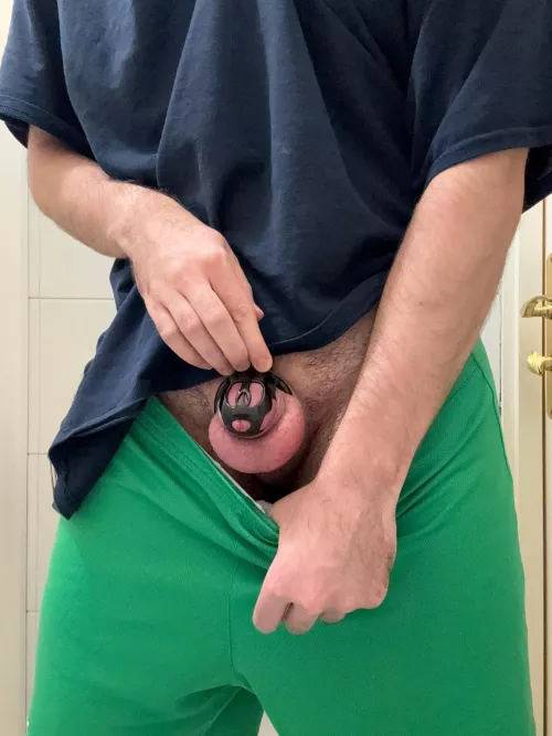 My chastity journey has begun!