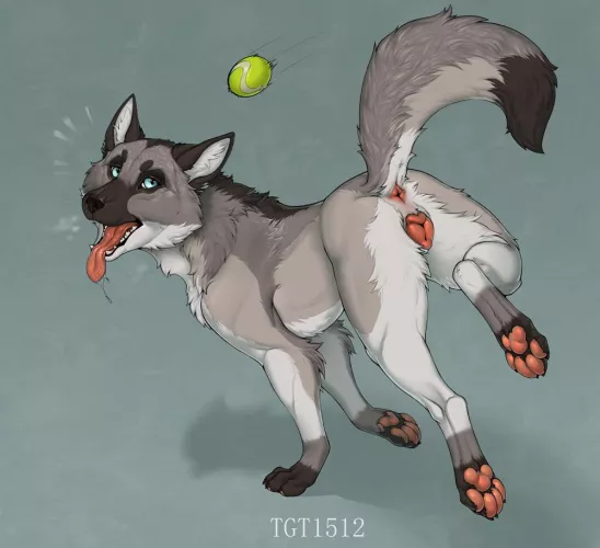 Playing Fetch ;3 (tgt1512) [f]