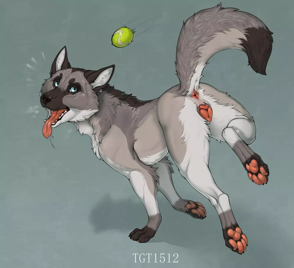 Playing Fetch ;3 (tgt1512) [f]