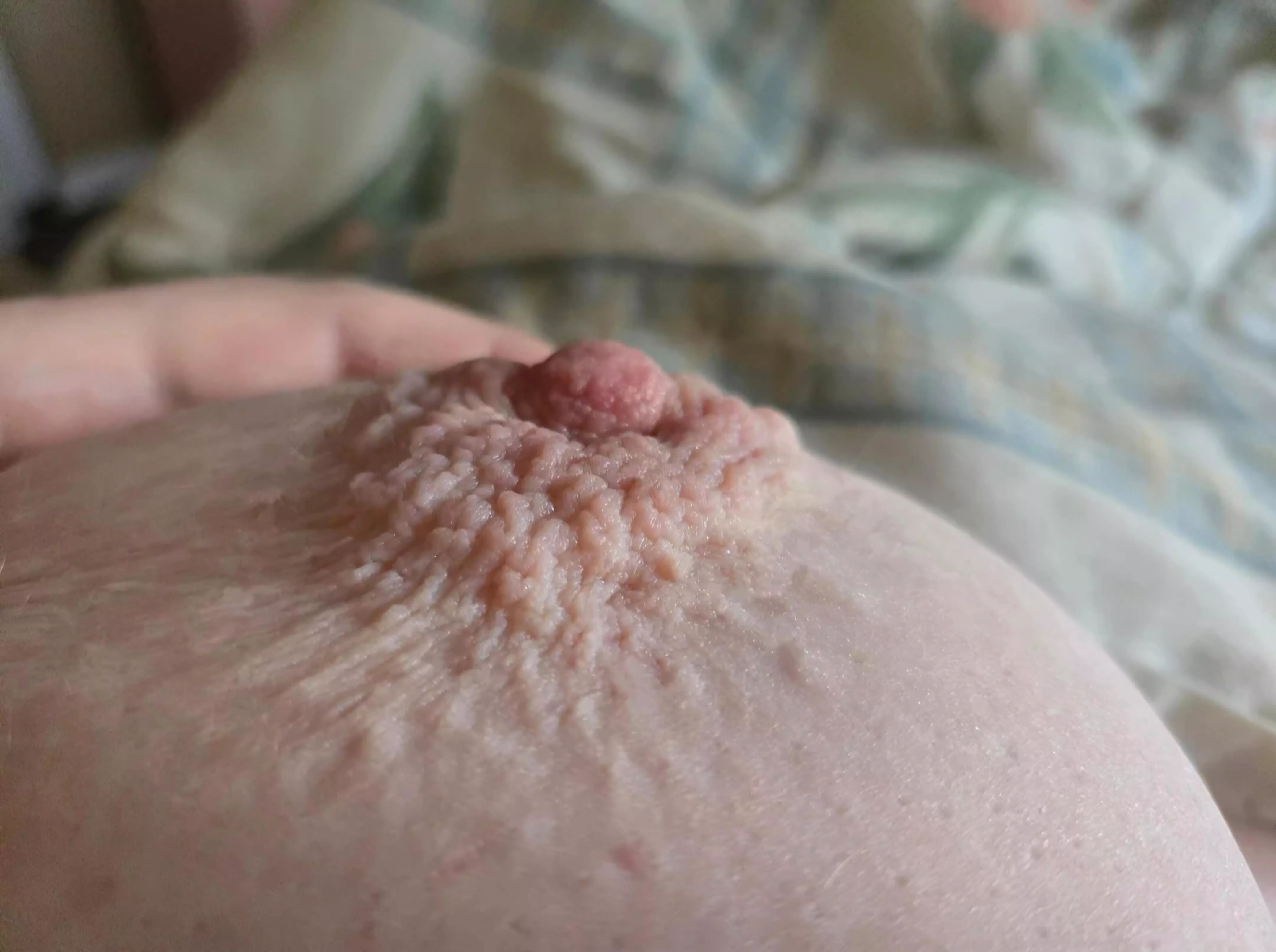 She's a little shy- help finish teasing her out?