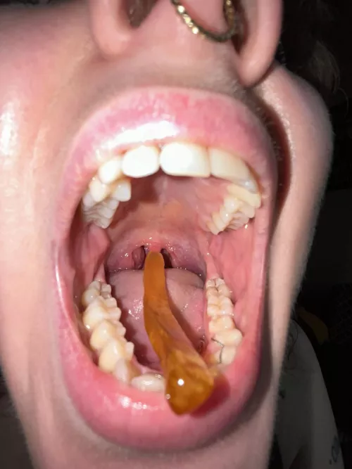 Should I eat you for lunch?