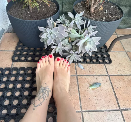 These feet need your attention