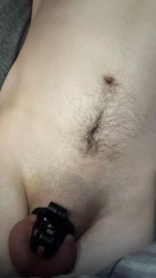 Thinking of staying locked for the rest of the year, maybe longer. Should I?