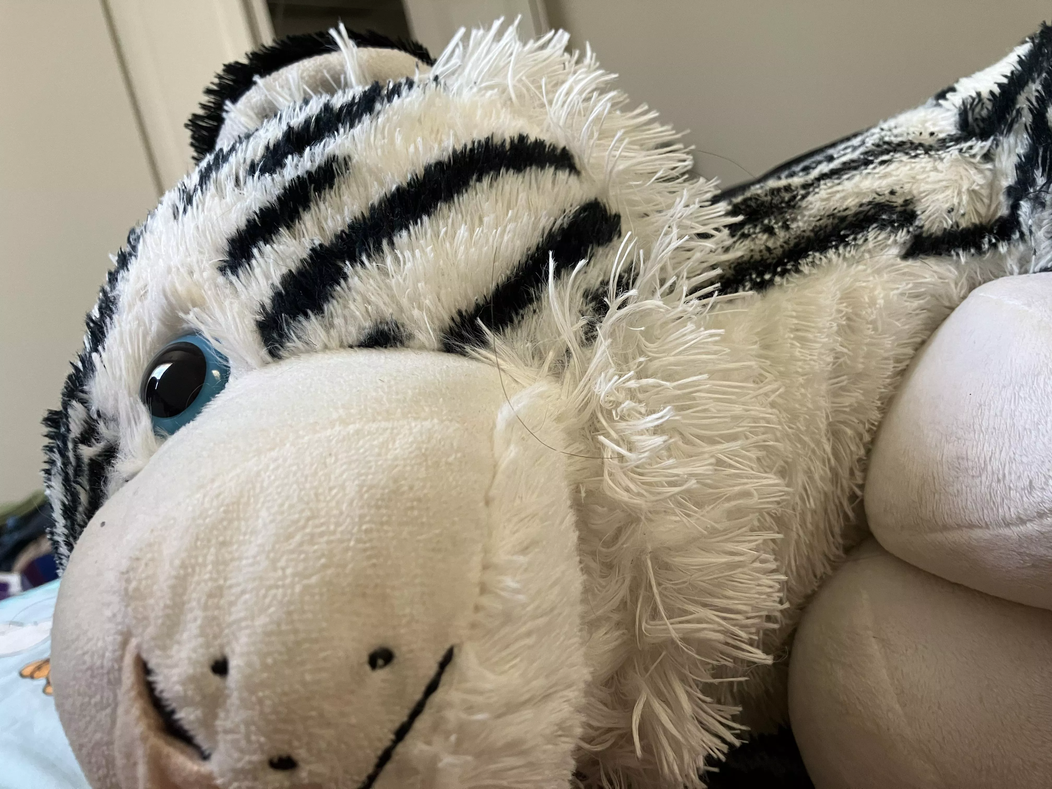 Trixi showing me tricks