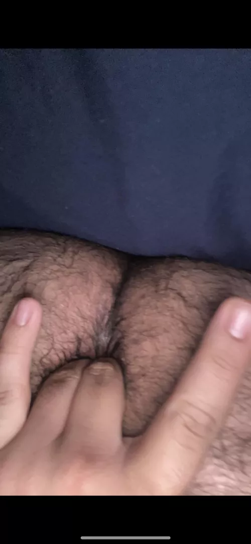 want to fuck it ? 
