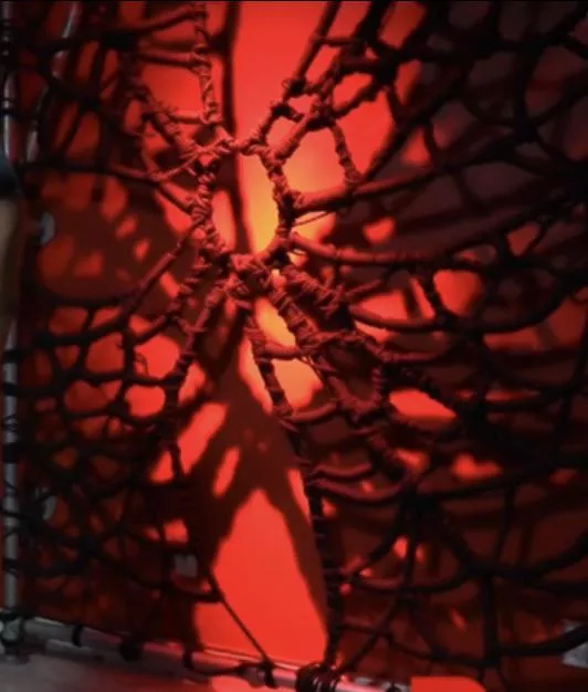 Web Wall for bondage and look - Anyone know where this can be purchased or more likely how to build?