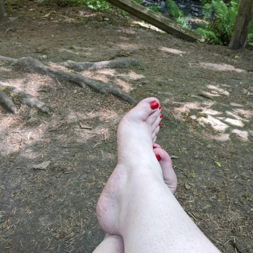 Would you clean up my feet for me after a walk in the woods?