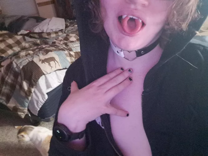 19tf Colorado need a big belly to smother me