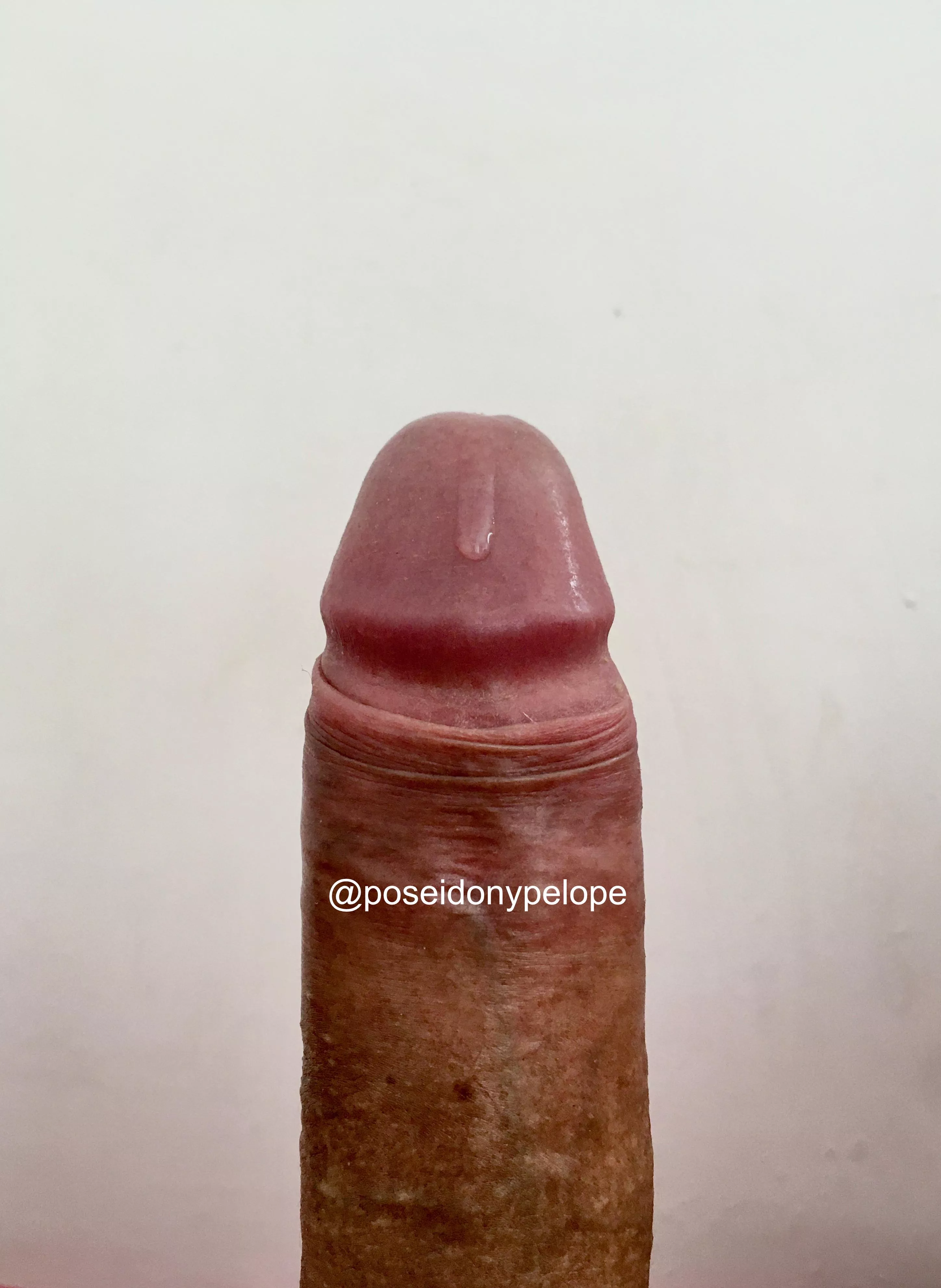 (38) Novidade no Onlyfans