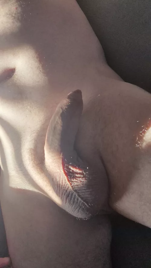 38 small uncut lads hmu g15ryt2 